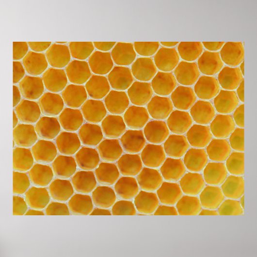 Braunes und weißes Quadrat Poster (Vorne)