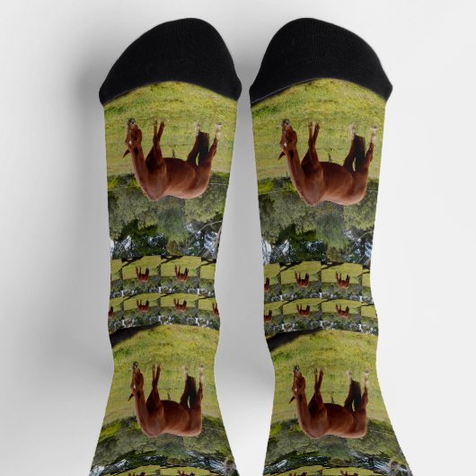 Braunes Weiden, Crew Socken (Oben)