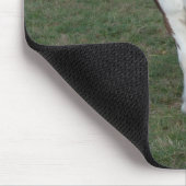 Braunes Weiße Pferd Mousepad (Ecke)