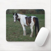 Braunes Weiße Pferd Mousepad (Mit Mouse)