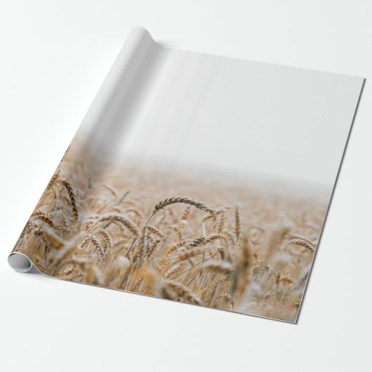 BRAUNES WEIZENFELD DURCHTAGS GESCHENKPAPIER (Ungerollt)