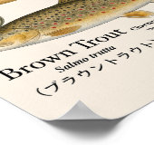 Braunforelle – Englischer Kunstdruck Poster (Ecke)