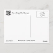 Braungestreifte Polstergarbe Postkarte (Rückseite)