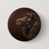 Braunhaarhund Button (Vorderseite)