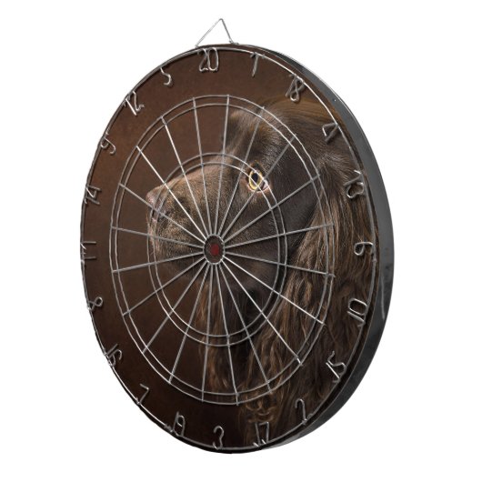 Braunhaarhund Dartscheibe (Vorderseite rechts)