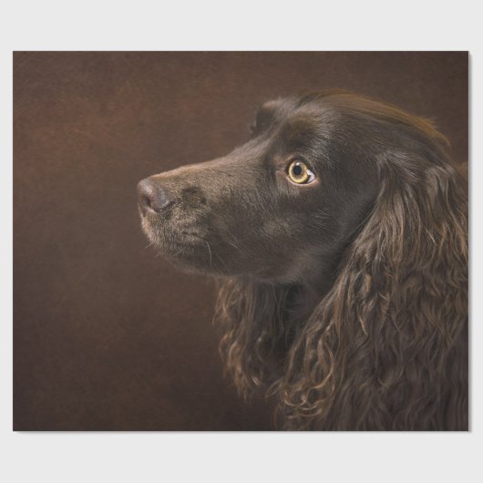 Braunhaarhund Geschenkpapier (Flach)