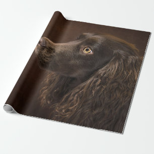 Braunhaarhund Geschenkpapier