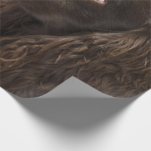 Braunhaarhund Geschenkpapier (Ecke)