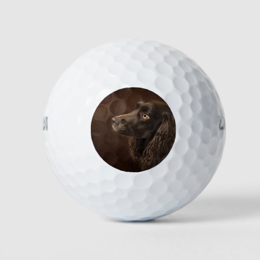 Braunhaarhund Golfball (Vorderseite)