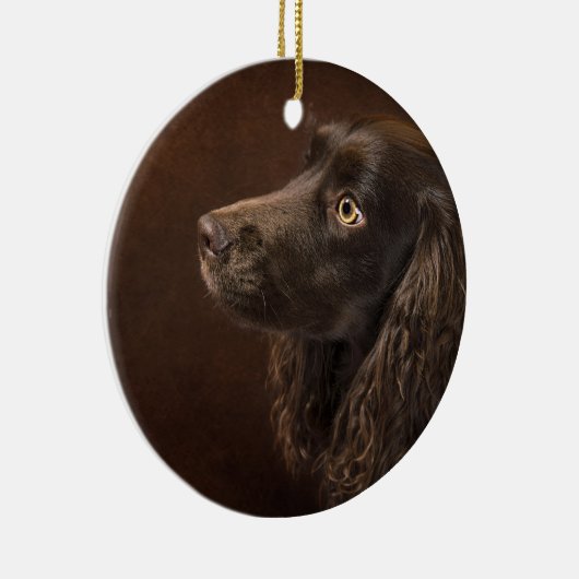 Braunhaarhund Keramik Ornament (Rechts)