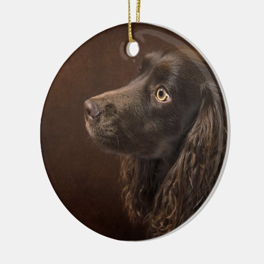 Braunhaarhund Keramik Ornament (Links)