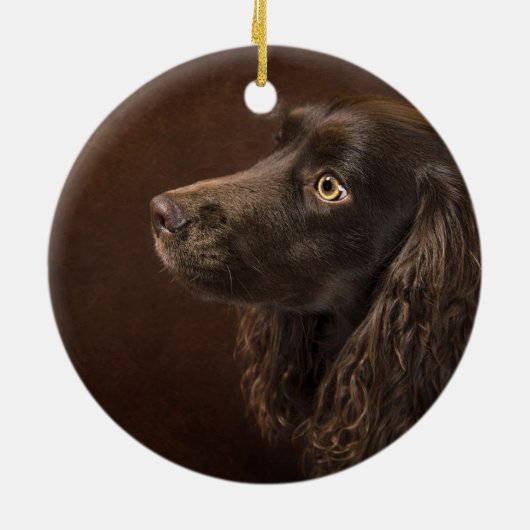 Braunhaarhund Keramik Ornament (Hinten)
