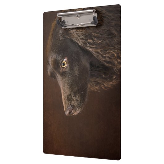 Braunhaarhund Klemmbrett (Links)