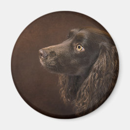 Braunhaarhund Magnet