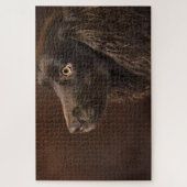 Braunhaarhund Puzzle (Vertikal)