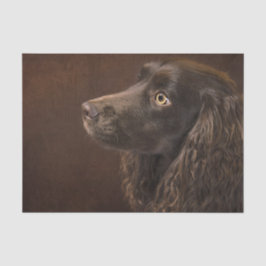 Braunhaarhund Seidenpapier