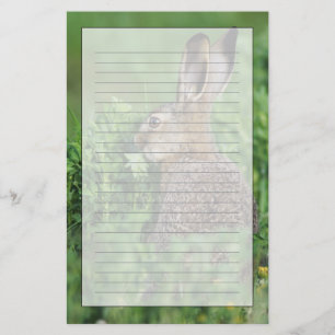 Braunhase, Lepus europaeus, Jungtier beim Fressen, Briefpapier