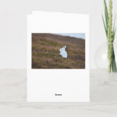 Braunhase, Perthshire Scotland Card Karte (Rückseite)