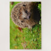 Braunhegdehos auf Gras Puzzle (Vertikal)