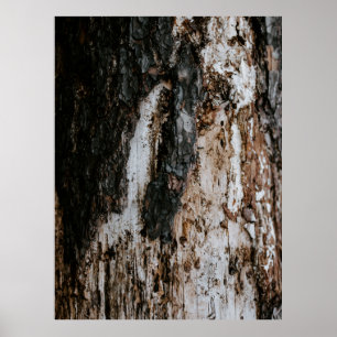 Braunholzbügel Poster