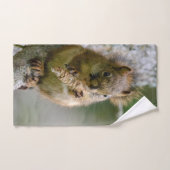 Braunhörnchen-Wildfotografie Handtuch (Handtuch)