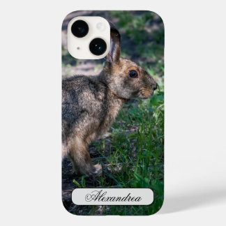 Braunkaninchen, Ruhen in der Natur Case-Mate iPhone 14 Hülle