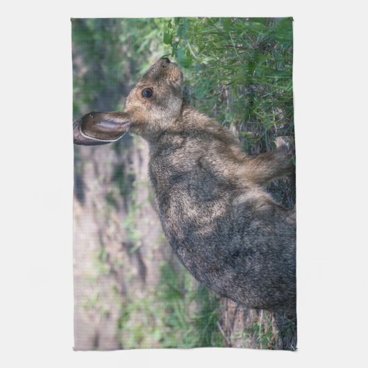 Braunkaninchen, Ruhen in der Natur Geschirrtuch (Vertikal)