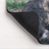 Braunkaninchen, Ruhen in der Natur Mousepad (Ecke)