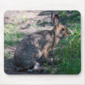 Braunkaninchen, Ruhen in der Natur Mousepad (Vorne)