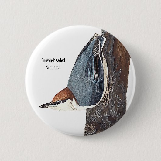 Braunkopfatch, Audubon, Vogelbeobachter Bird Wear, Button (Vorderseite)