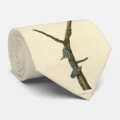 Braunkopfnuthatch - Audubons Vögel in Amerika Krawatte (Gerollt)