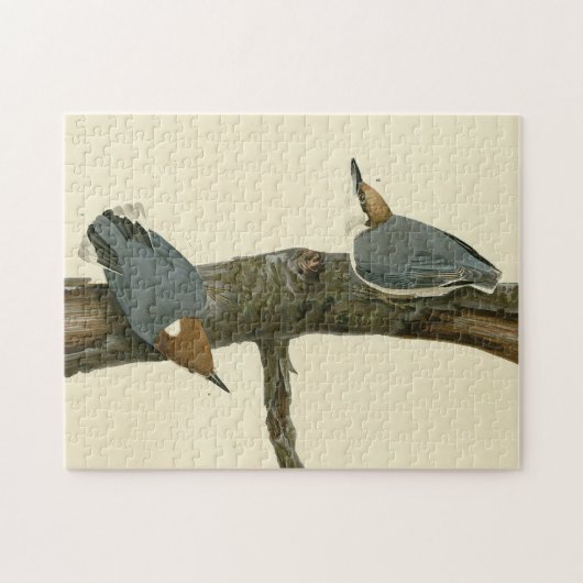 Braunkopfnuthatch - Audubons Vögel in Amerika Puzzle (Horizontal)