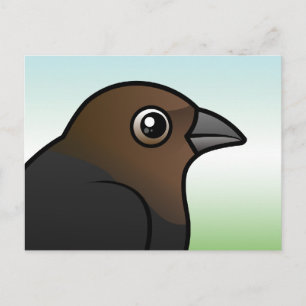 Braunkopfvogel Postkarte