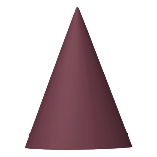 Bräunlich Violette Partyhut (Vorderseite)