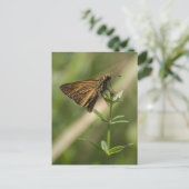 Braunmotiv Postkarte (Stehend Vorderseite)