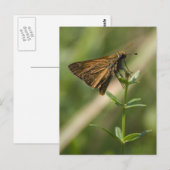 Braunmotiv Postkarte (Vorne/Hinten)