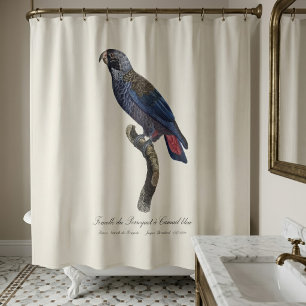 Braunpapagei oder Dunkler Pionus, Pionus fuscus Duschvorhang