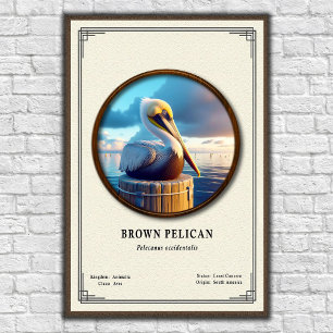 Braunpelikan-Zoologie-Serienposter Poster