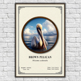 Braunpelikan-Zoologie-Serienposter Poster