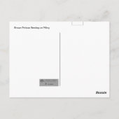 Braunpelikanruhen am Spulen Postkarte (Rückseite)