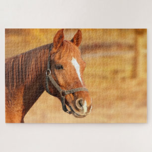 Braunpferd Puzzle