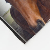 Braunpferde in einer Fotomasse, mittel Fleecedecke (Ecke)