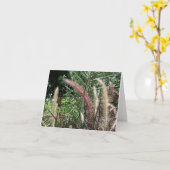 Braunsaat Karte (Gelbe Blume)