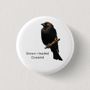 Braunschweiger Cowbird Button
