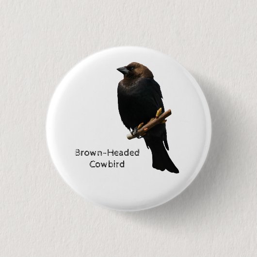 Braunschweiger Cowbird Button (Vorderseite)