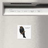 Braunschweiger Cowbird Magnet (In Situ (Geschirrspüler))