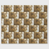 Braunschweiger Milchkühe Geschenkpapier (Flach)