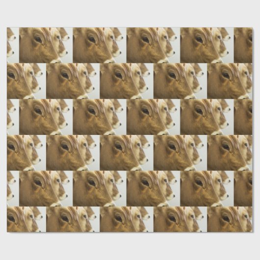 Braunschweiger Milchkühe Geschenkpapier (Flach)