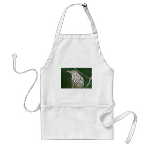 Braunspottdrossel mit Geschenken des Tages Geschen Schürze