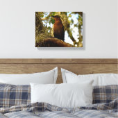 Braunspötter-Vogel Leinwanddruck (Insitu (Schlafzimmer))